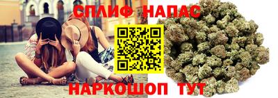 MDMA Гай