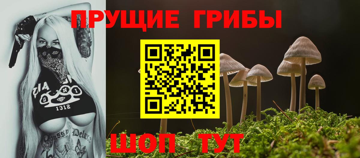 Галлюциногенные грибы Magic Shrooms Анжеро-Судженск