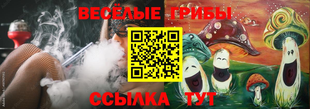 Галлюциногенные грибы Cubensis  Вход с VPN  купить наркотики сайты  Анжеро-Судженск 